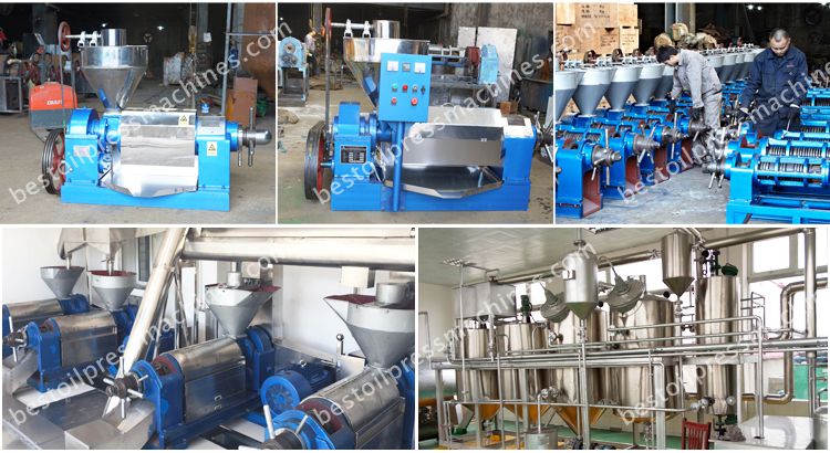 cottonseed oil manufacturing machine for sales