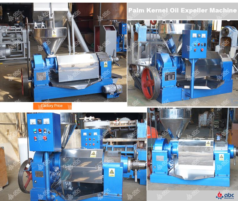 palm kernel oil expeller machine at factory price