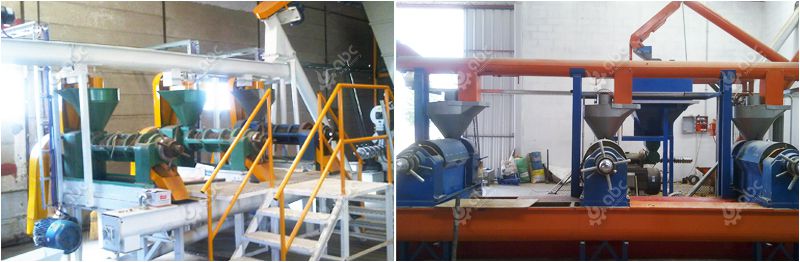 small castor oil extraction plant for sales
