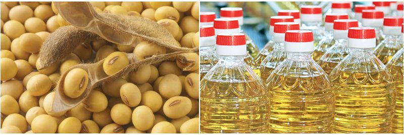 soybean oil processing potential in Africa
