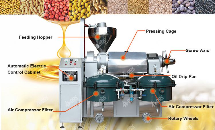 Multi-functional Automatic Small Oil Press Machine for Various Nuts & Seeds  Pressing