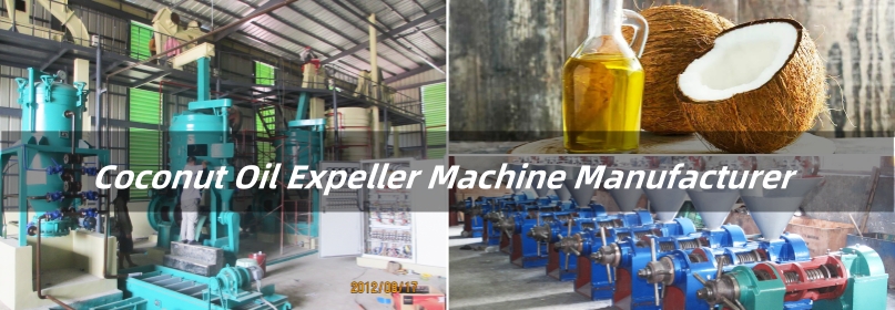 low cost coconut oil extractor for sale