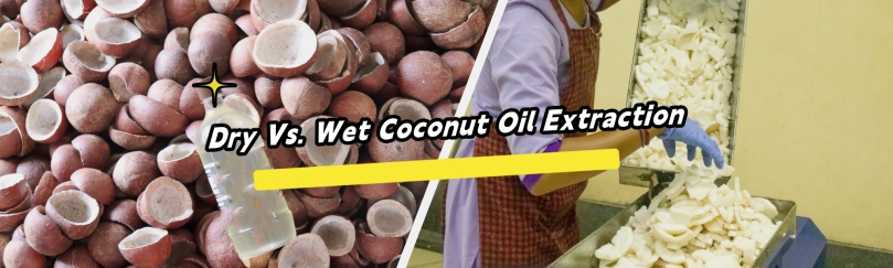 virgin coconut vs copra oil extration process and machine