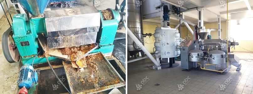 coconut oil machine for sale