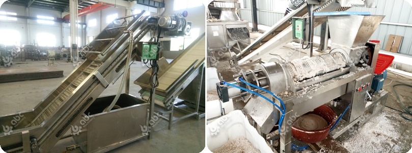 cold pressed coconut oil machine for sale