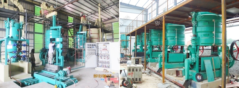coconut oil processing plant cost