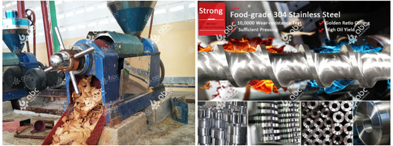  oil press machine for home use india