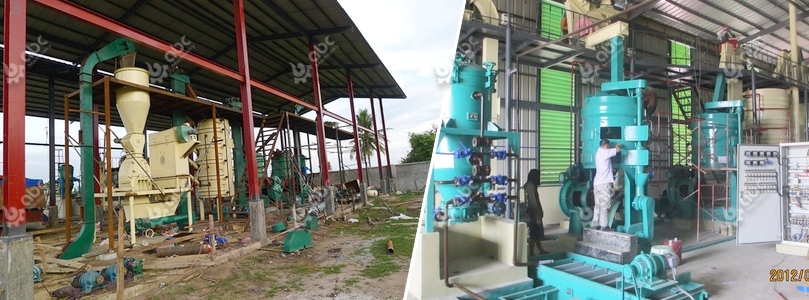 coconut oil extraction machine price  sri lanka philippines