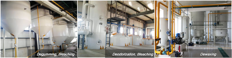 sunfower oil extraction and refining plant project in south africa price
