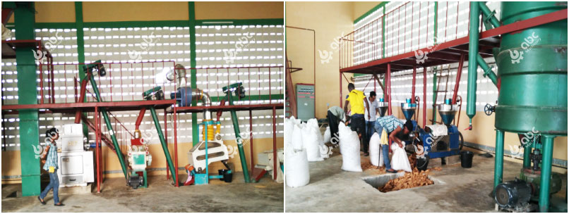 profitable cooking oil production project build 