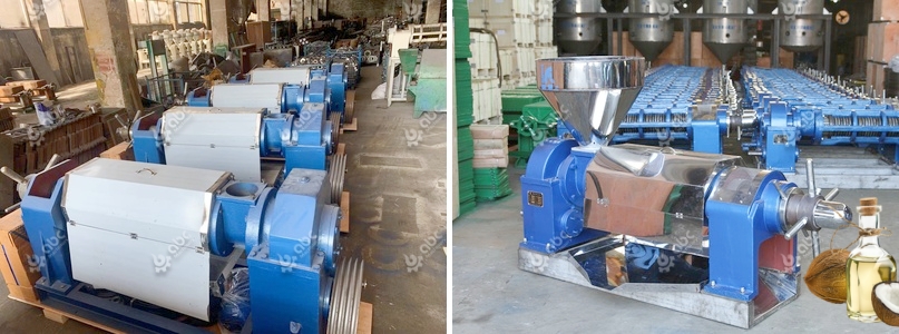 low cost small screw oil press machine for sale