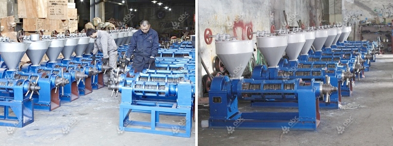 small screw oil press machines for sale