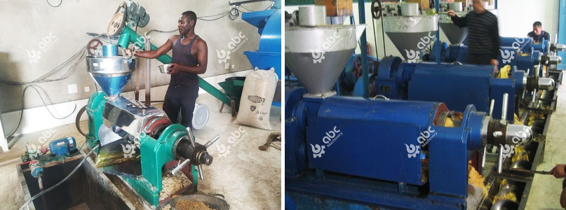 buy low cost groundnut oil extractor machine making 
