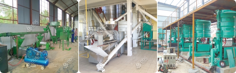 coconut oil extracor machine price